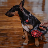 Retractable dog leash with a unique design