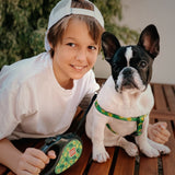 Retractable dog leash with a unique design