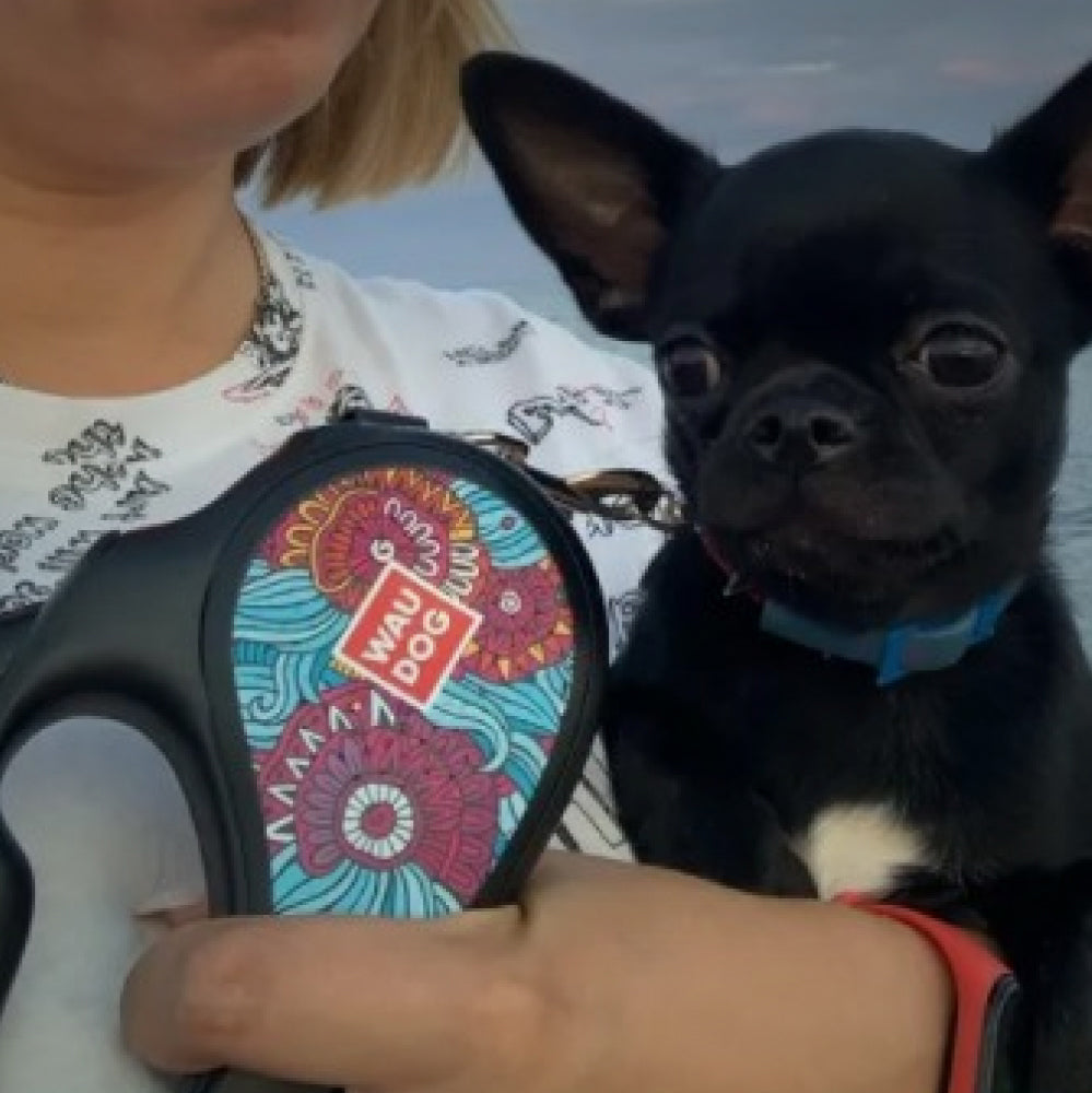 Retractable dog leash with a unique design
