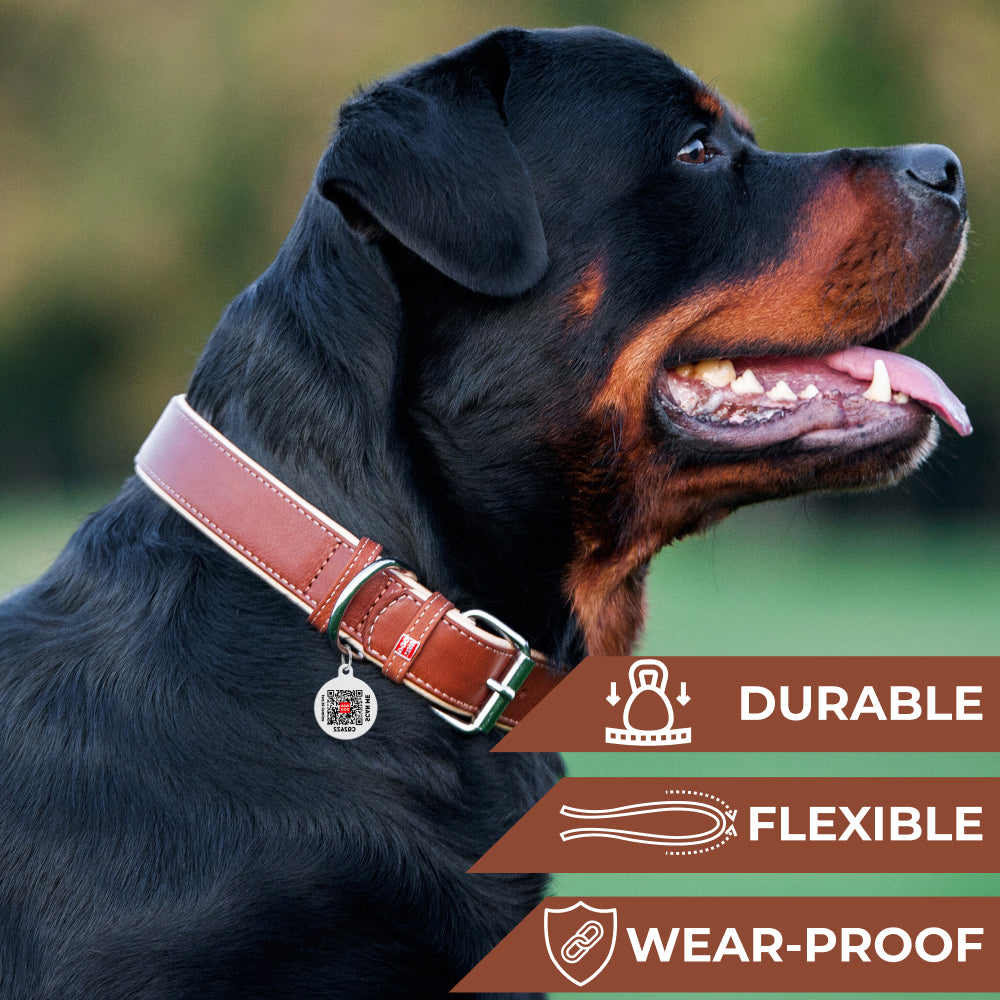 Heavenly soft leather collar for dogs