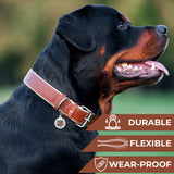 Heavenly soft leather collar for dogs