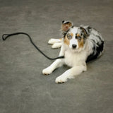 Glamour rolled leather dog leash