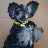 Glamour leather dog collar