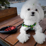 Retractable dog leash with a unique design