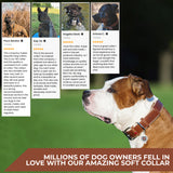 Heavenly soft leather collar for dogs