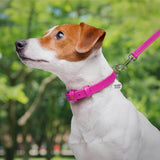 Glamour leather dog collar