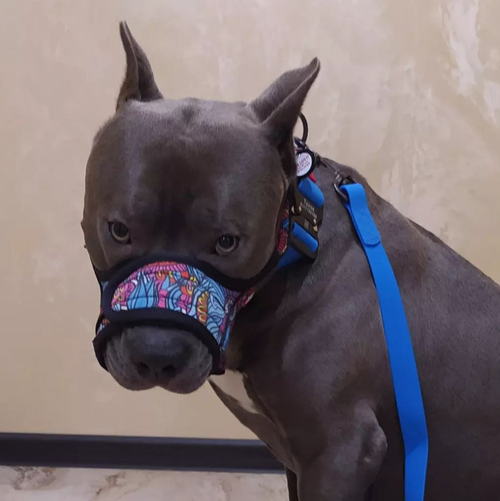 Nylon muzzle with a unique design for dogs