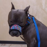 Nylon muzzle with a unique design for dogs