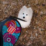 Retractable dog leash with a unique design