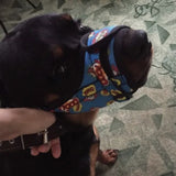 Nylon muzzle with a unique design for dogs