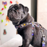 Nylon overhead harness with a unique design for dogs