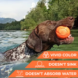 Safe and durable barbell-shaped dog toy