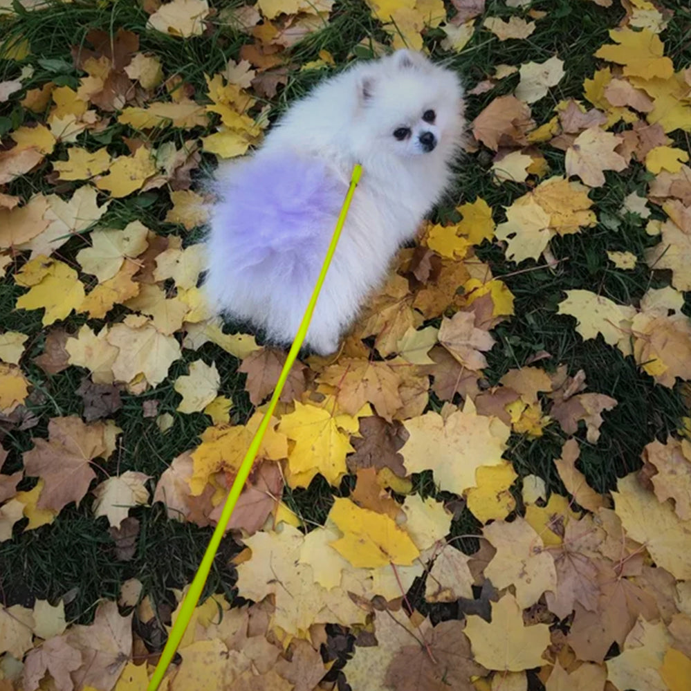 Glamour rolled leather dog leash
