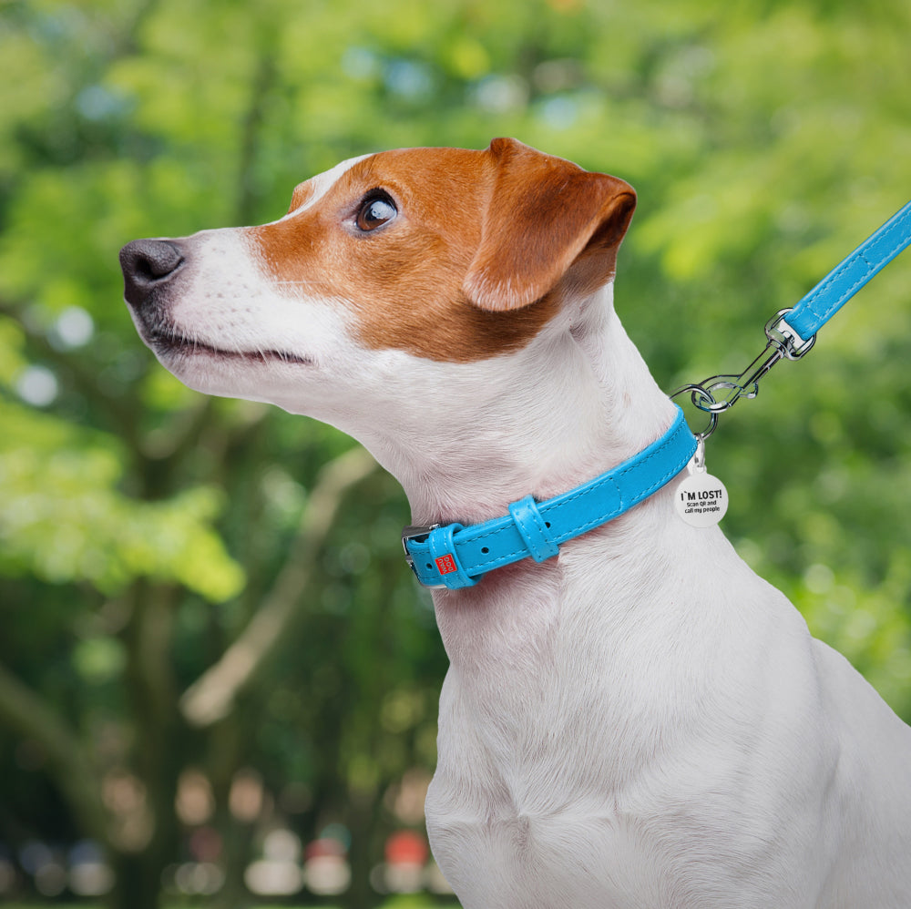 Glamour leather dog collar