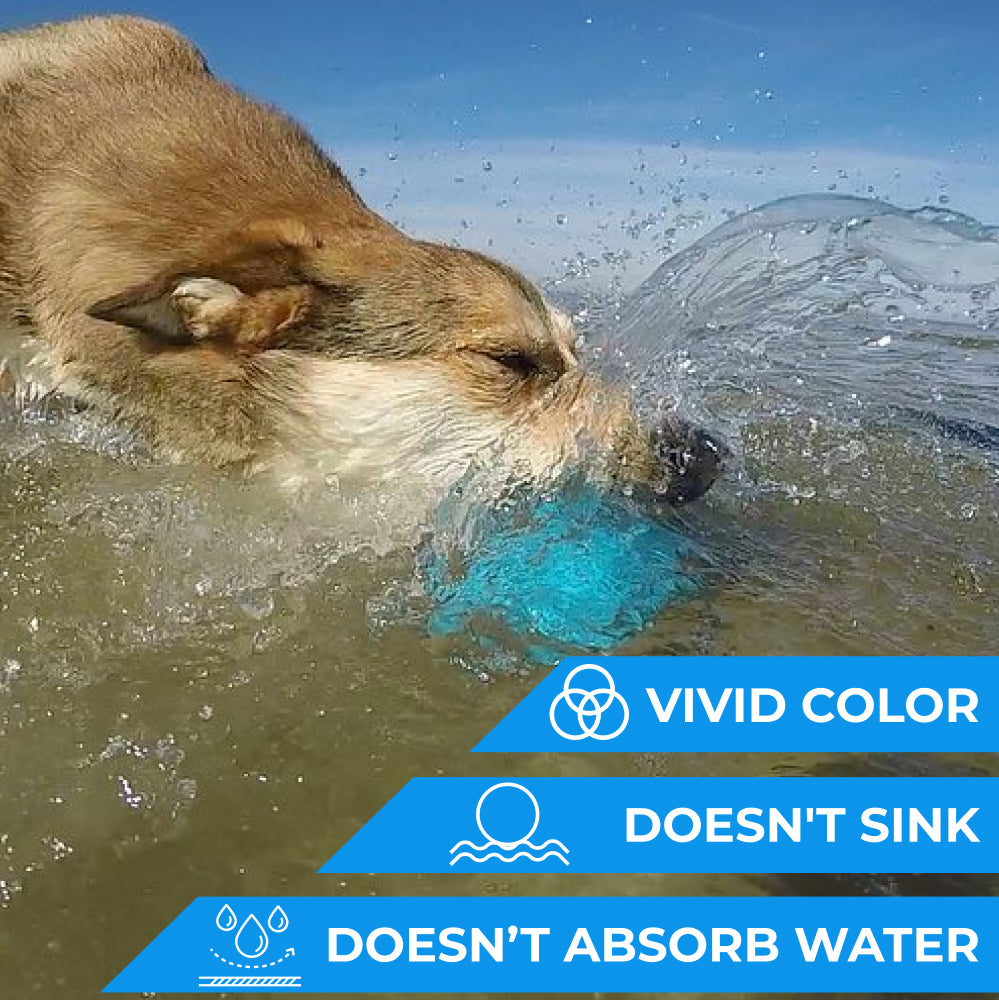 Safe and durable barbell-shaped dog toy