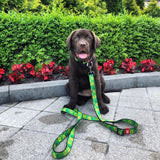 Nylon leash with a unique design for dogs