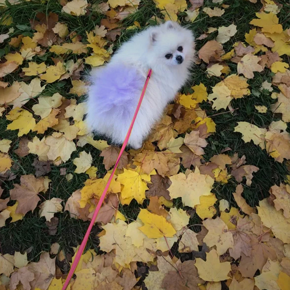 Glamour rolled leather dog leash