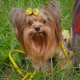 Glamour rolled leather dog leash