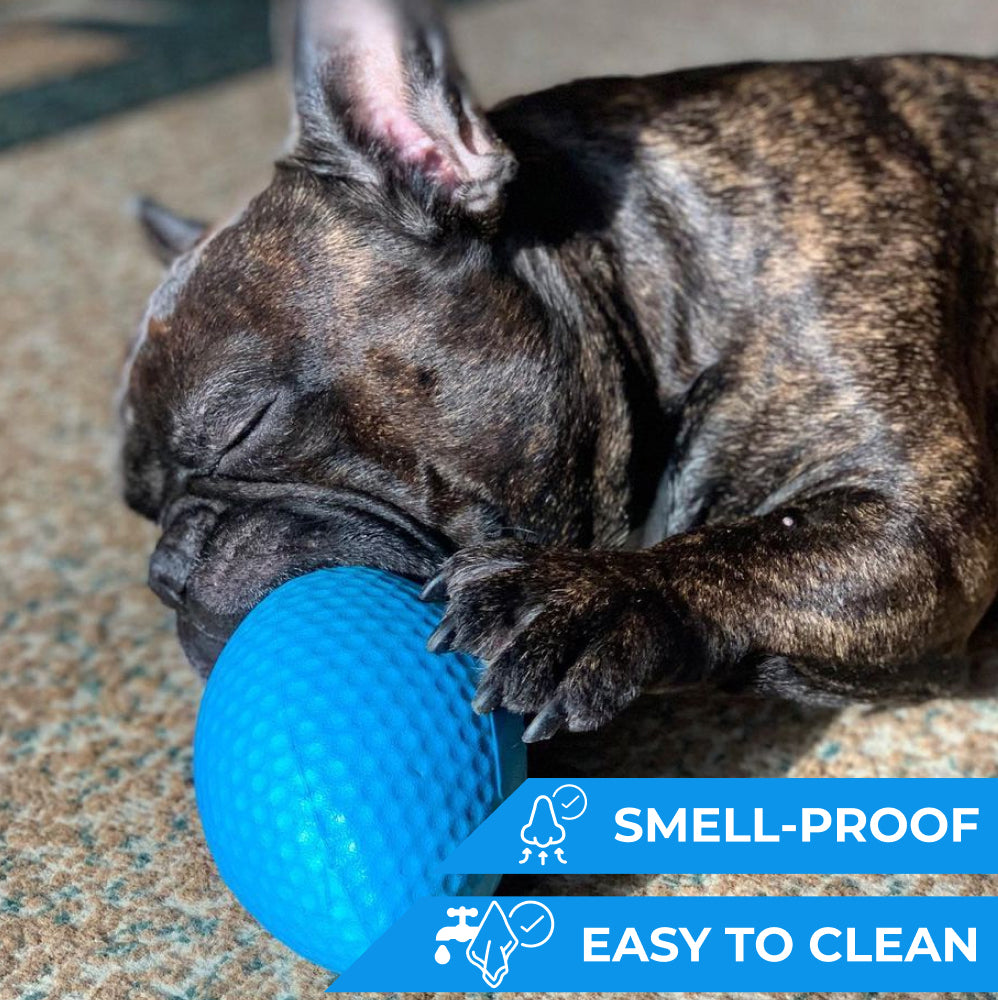 Extremely durable and safe football dog toy