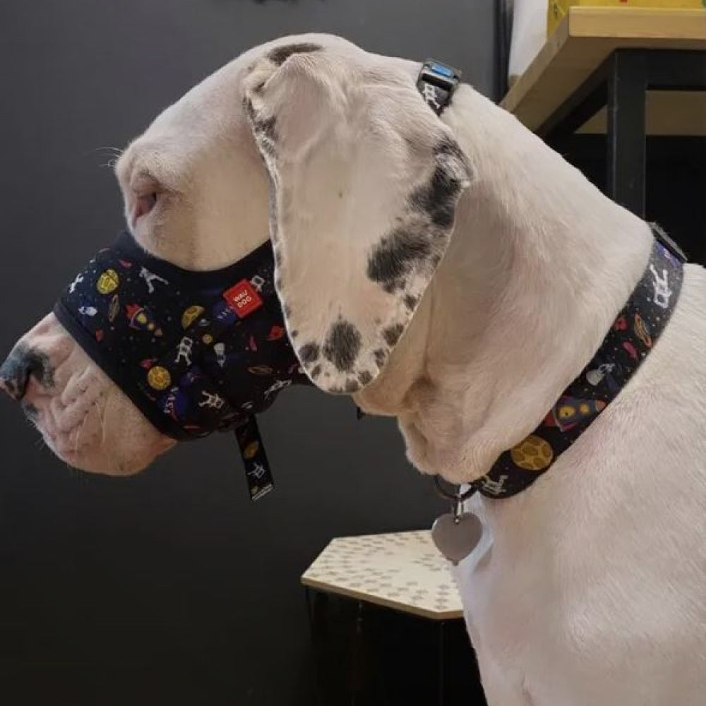 Nylon muzzle with a unique design for dogs