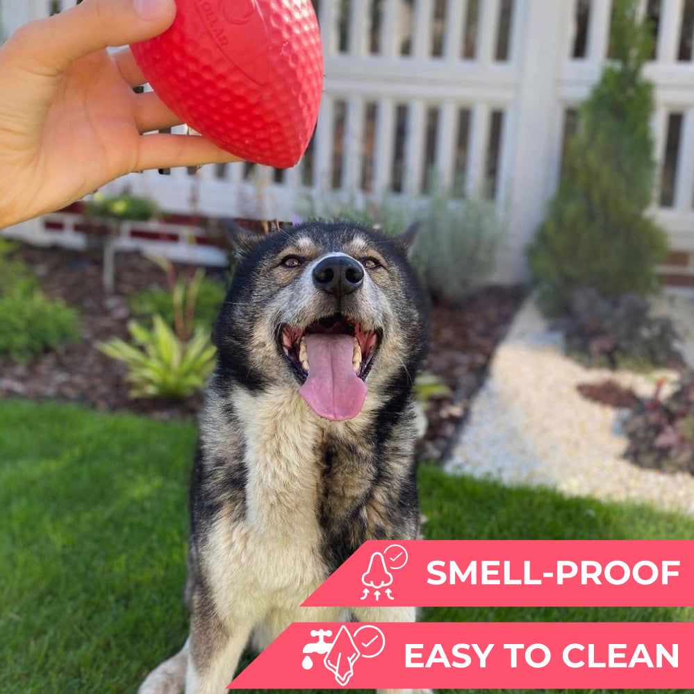 Extremely durable and safe football dog toy
