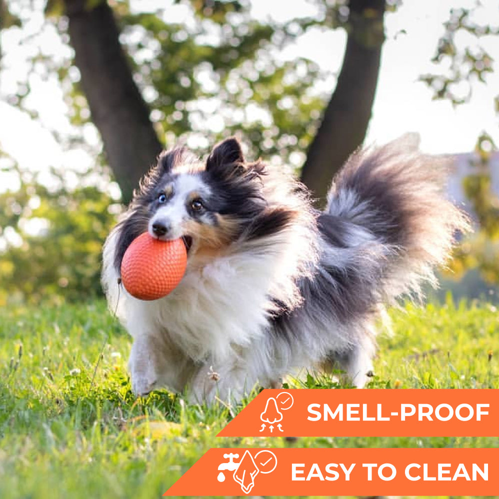 Extremely durable and safe football dog toy