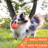Extremely durable and safe football dog toy