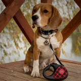 Retractable dog leash with a unique design