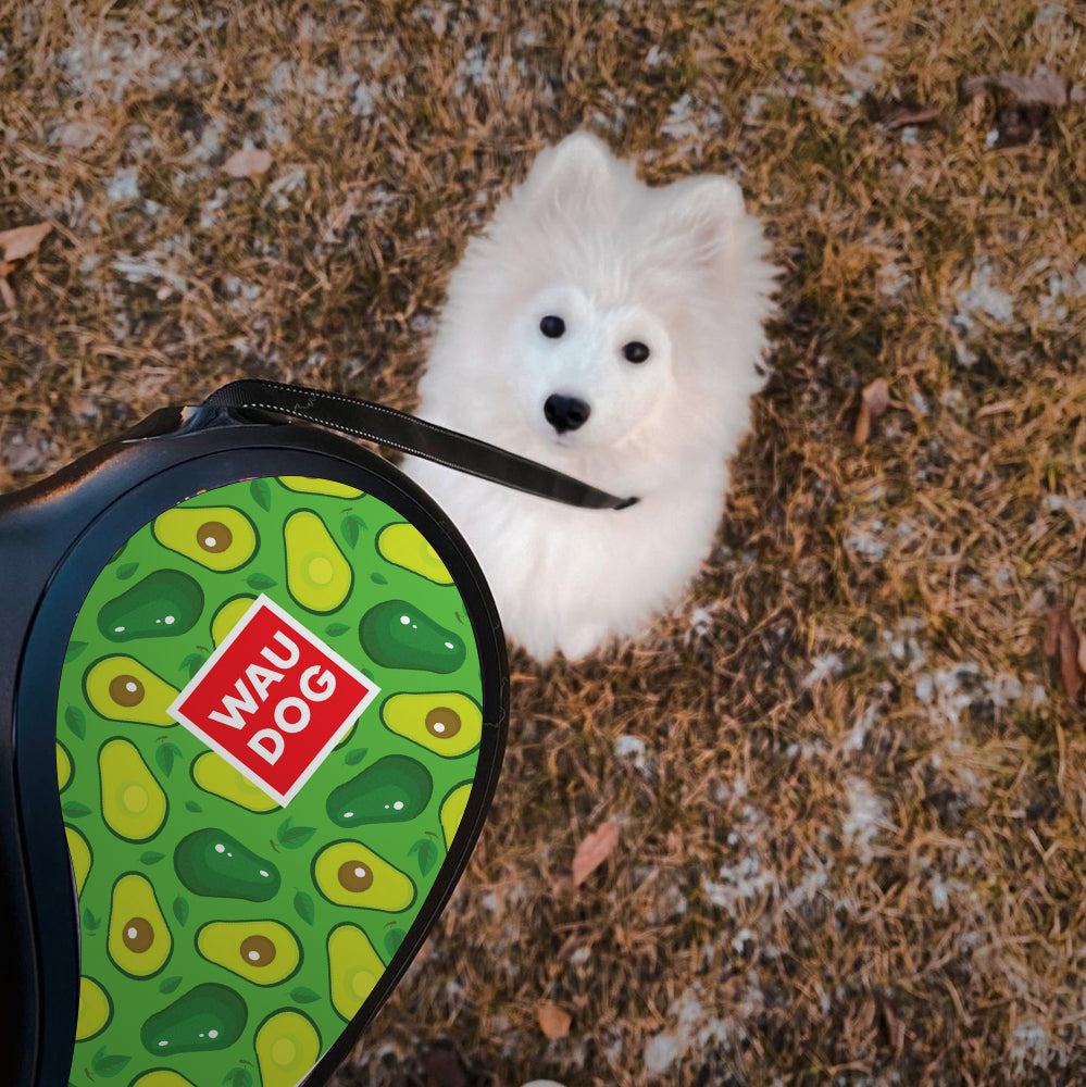 Retractable dog leash with a unique design