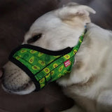 Nylon muzzle with a unique design for dogs