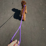 Glamour rolled leather dog leash