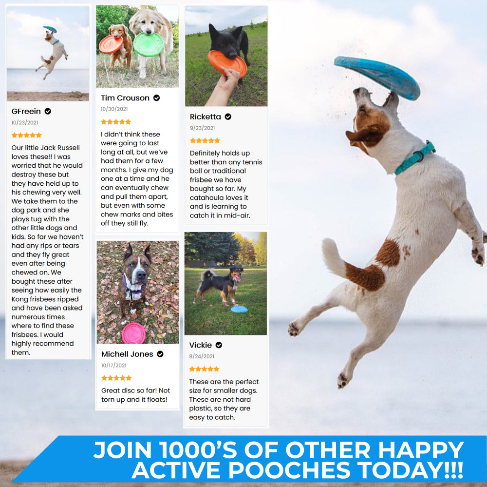 Lightweight and flexible flying disk for dogs