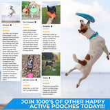 Lightweight and flexible flying disk for dogs