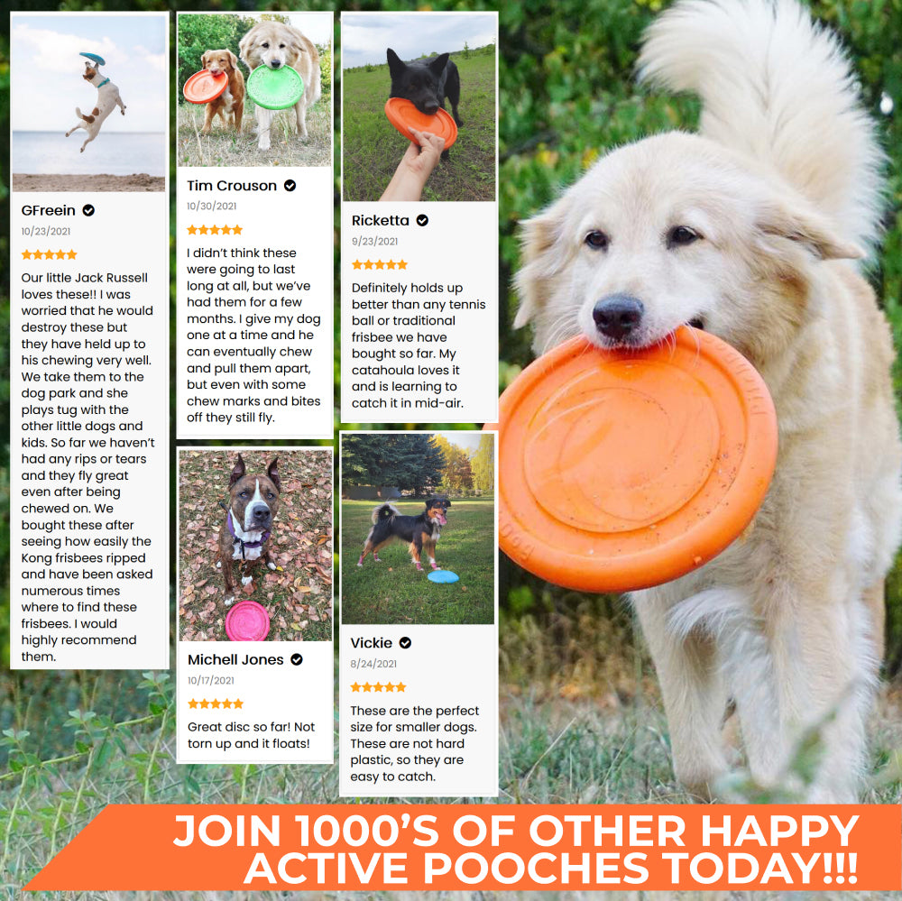 Lightweight and flexible flying disk for dogs