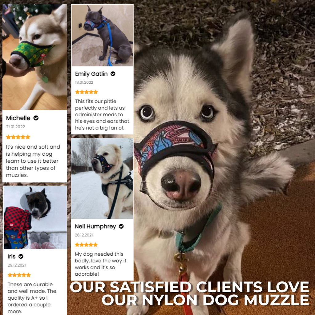 Nylon muzzle with a unique design for dogs