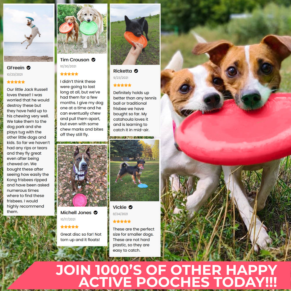 Lightweight and flexible flying disk for dogs