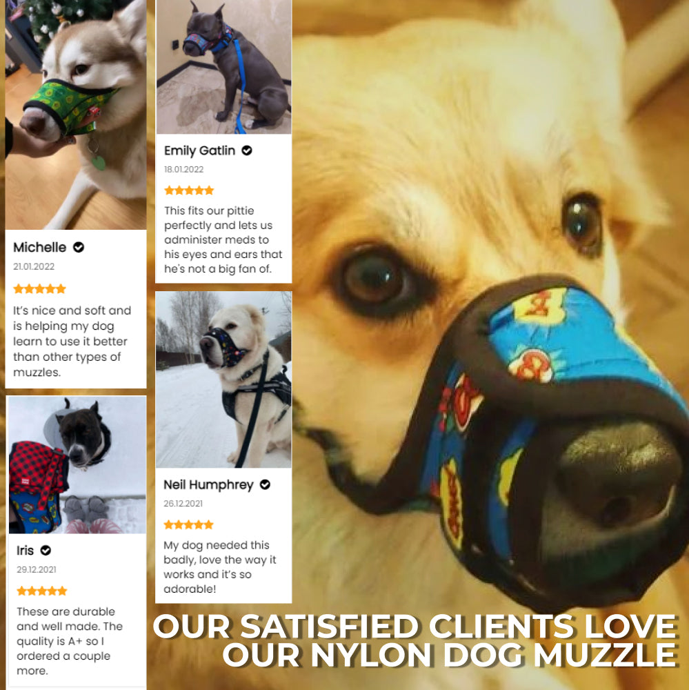 Nylon muzzle with a unique design for dogs