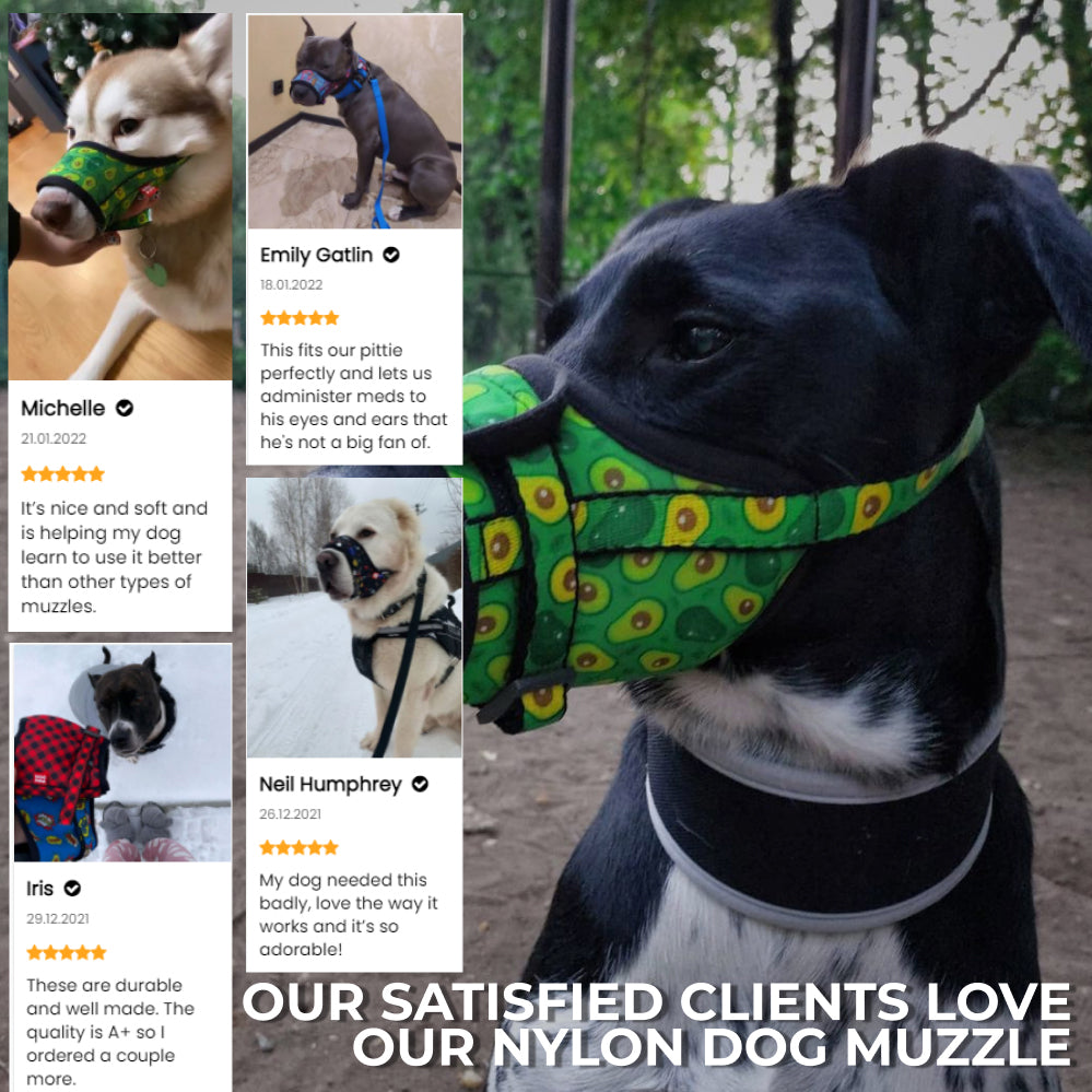 Nylon muzzle with a unique design for dogs