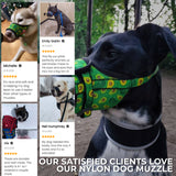 Nylon muzzle with a unique design for dogs