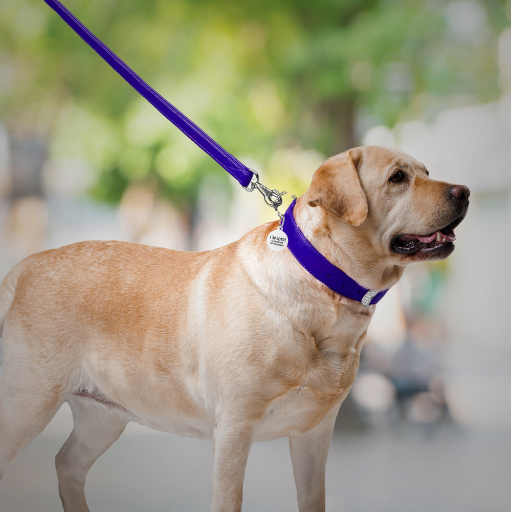 Glamour leather leash for dogs
