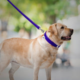 Glamour leather leash for dogs