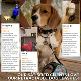 Retractable dog leash with a unique design