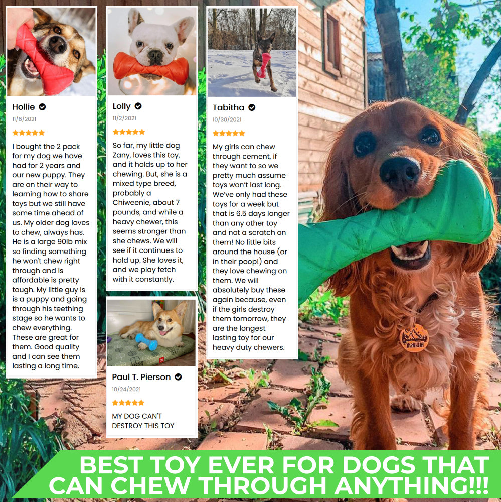 Safe and durable barbell-shaped dog toy