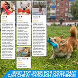 Safe and durable barbell-shaped dog toy