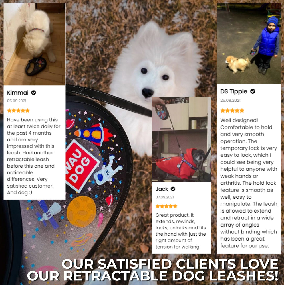 Retractable dog leash with a unique design