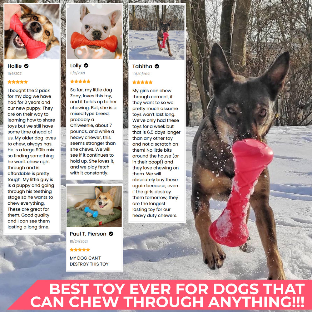 Safe and durable barbell-shaped dog toy