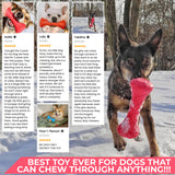 Safe and durable barbell-shaped dog toy