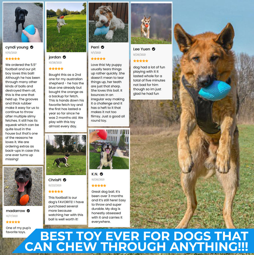 Extremely durable and safe football dog toy