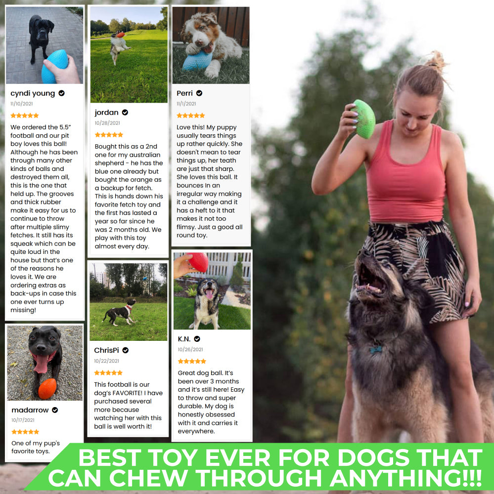 Extremely durable and safe football dog toy