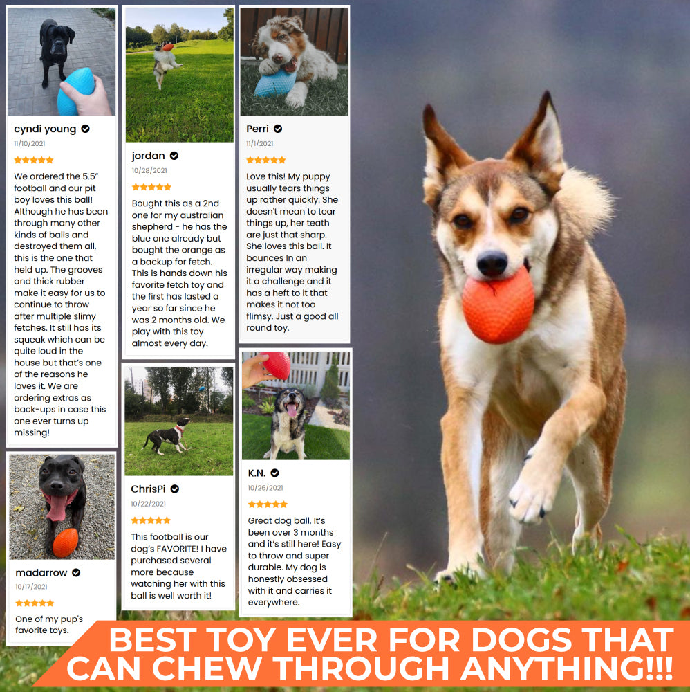 Extremely durable and safe football dog toy
